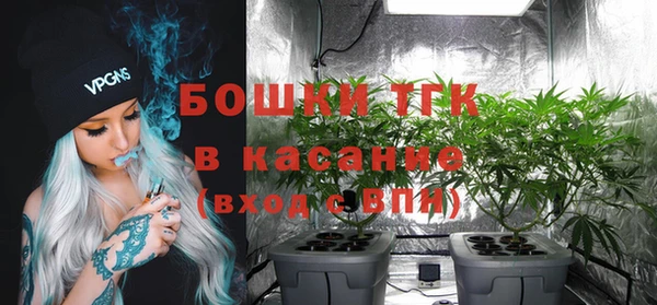 шишки Магадан
