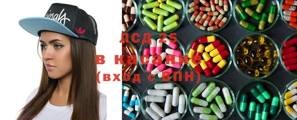 шишки Магадан