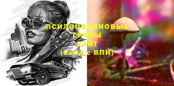 гашик Майский