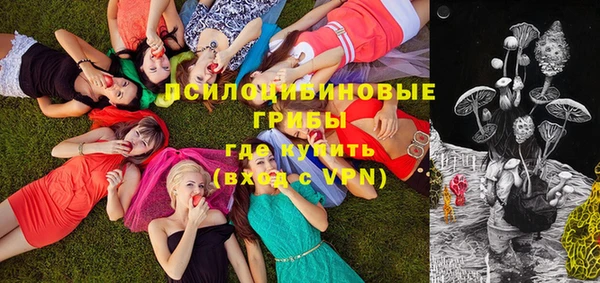 прущая мука Гусиноозёрск